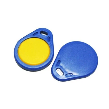RFID Chiptstychain